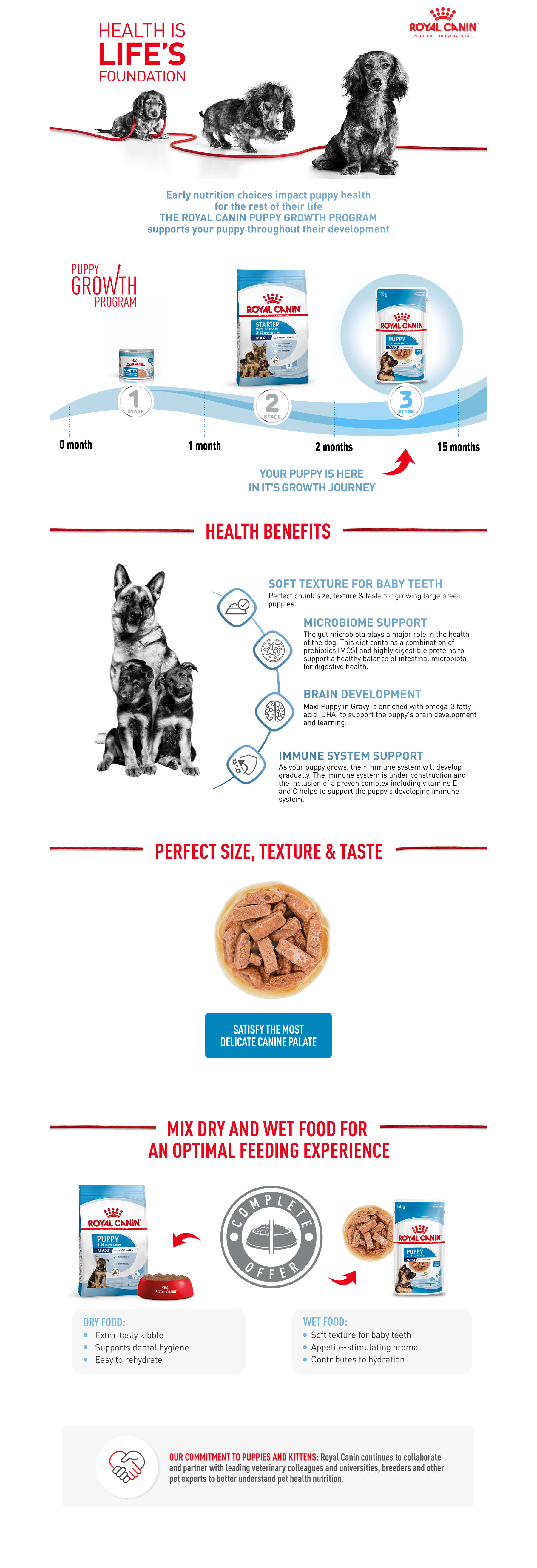 Royal canin large breed puppy clearance ingredients